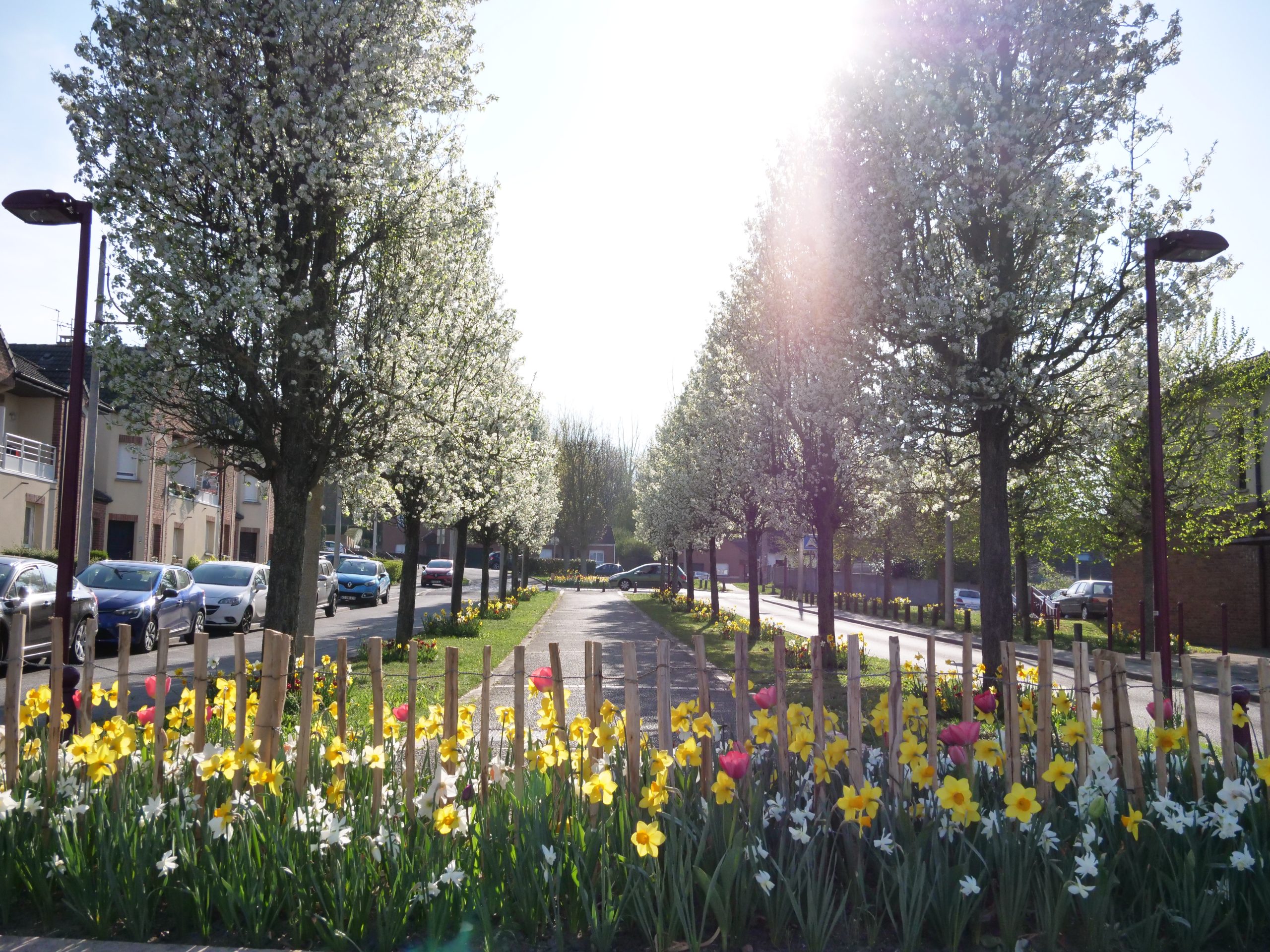 Avenue Michel Bouchez